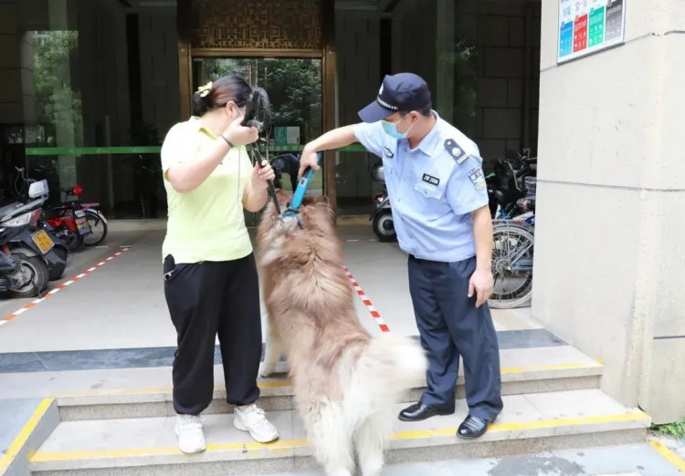 注意！不文明养犬将被重点整治！